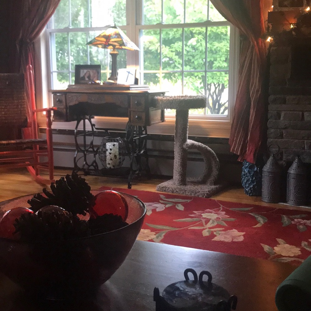 Meet your Posher, Michele